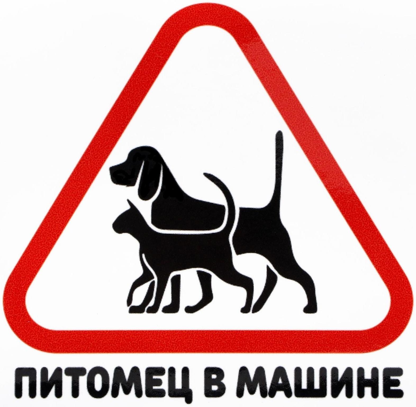 Наклейка на автомобиль 