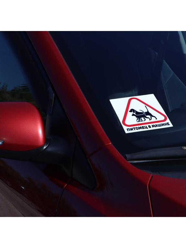 Наклейка на автомобиль 