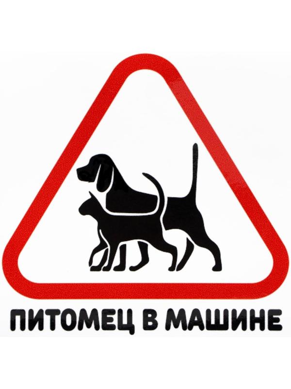 Наклейка на автомобиль 