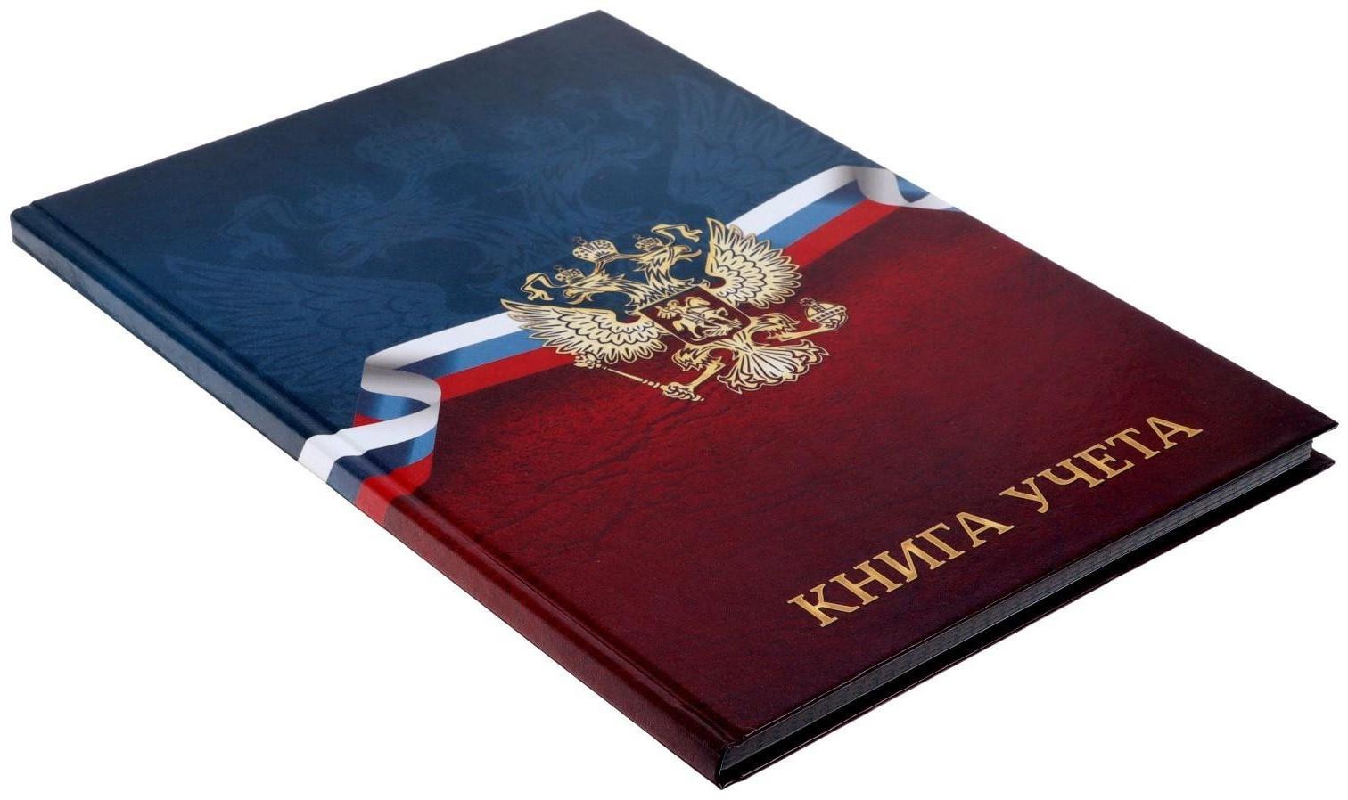 Книга учета, 96 листов, обложка картон 7БЦ, блок ГАЗЕТНЫЙ, клетка, РФ, сине-красный