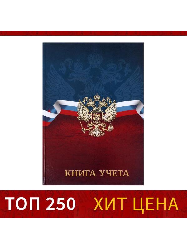 Книга учета, 96 листов, обложка картон 7БЦ, блок ГАЗЕТНЫЙ, клетка, РФ, сине-красный