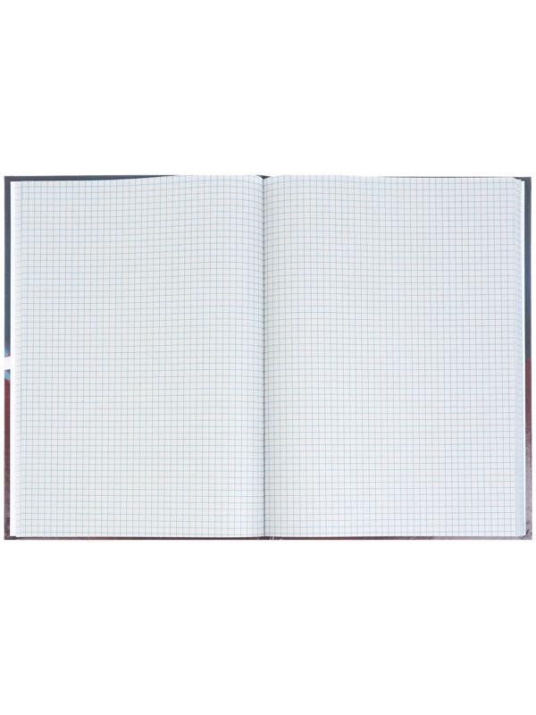 Книга учета, 96 листов, обложка картон 7БЦ, блок ГАЗЕТНЫЙ, клетка, РФ, сине-красный