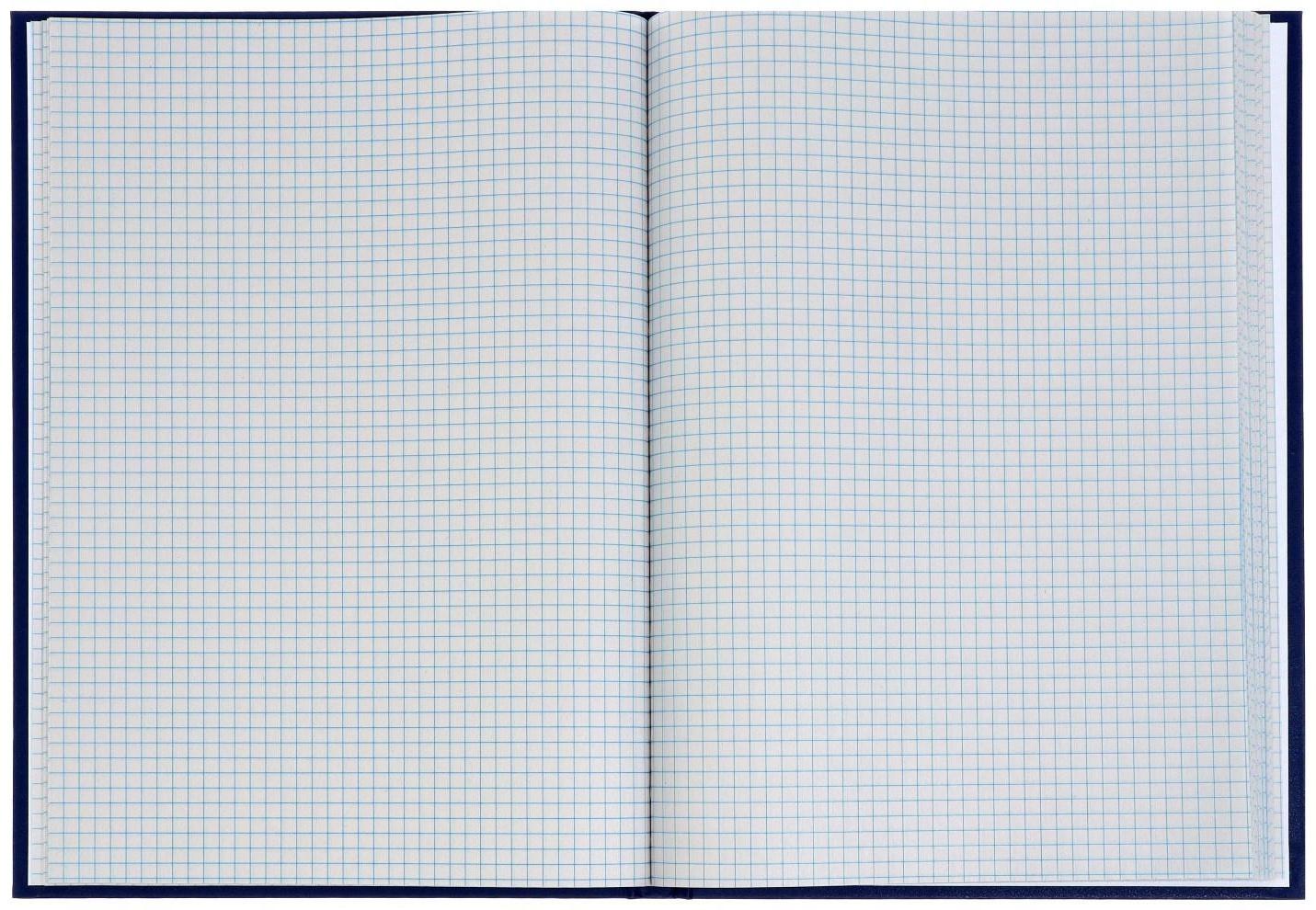 Книга учета, 96 листов, обложка бумвинил, блок ГАЗЕТНЫЙ, клетка, цвет синий