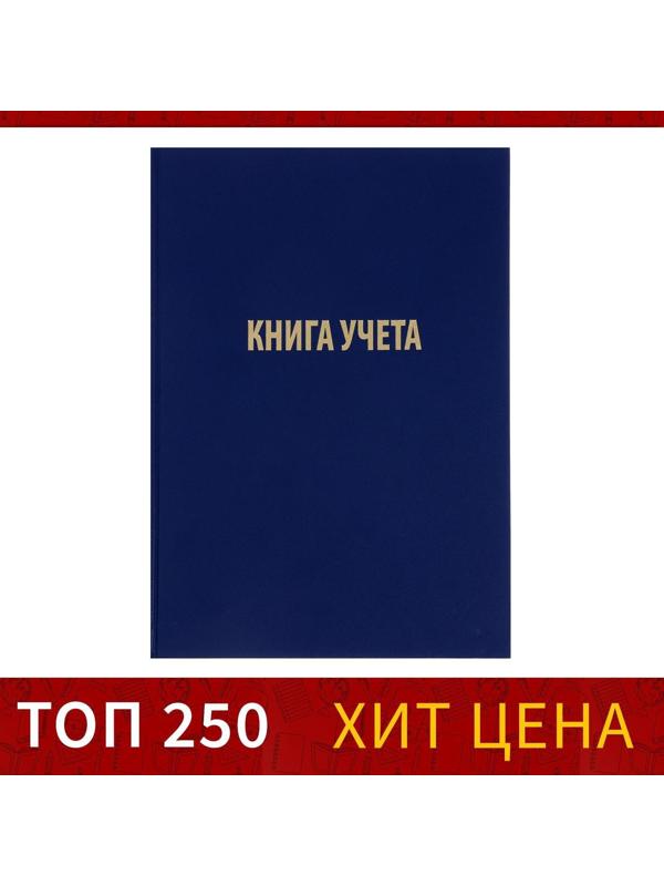 Книга учета, 96 листов, обложка бумвинил, блок ГАЗЕТНЫЙ, клетка, цвет синий