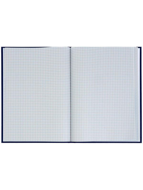 Книга учета, 96 листов, обложка бумвинил, блок ГАЗЕТНЫЙ, клетка, цвет синий