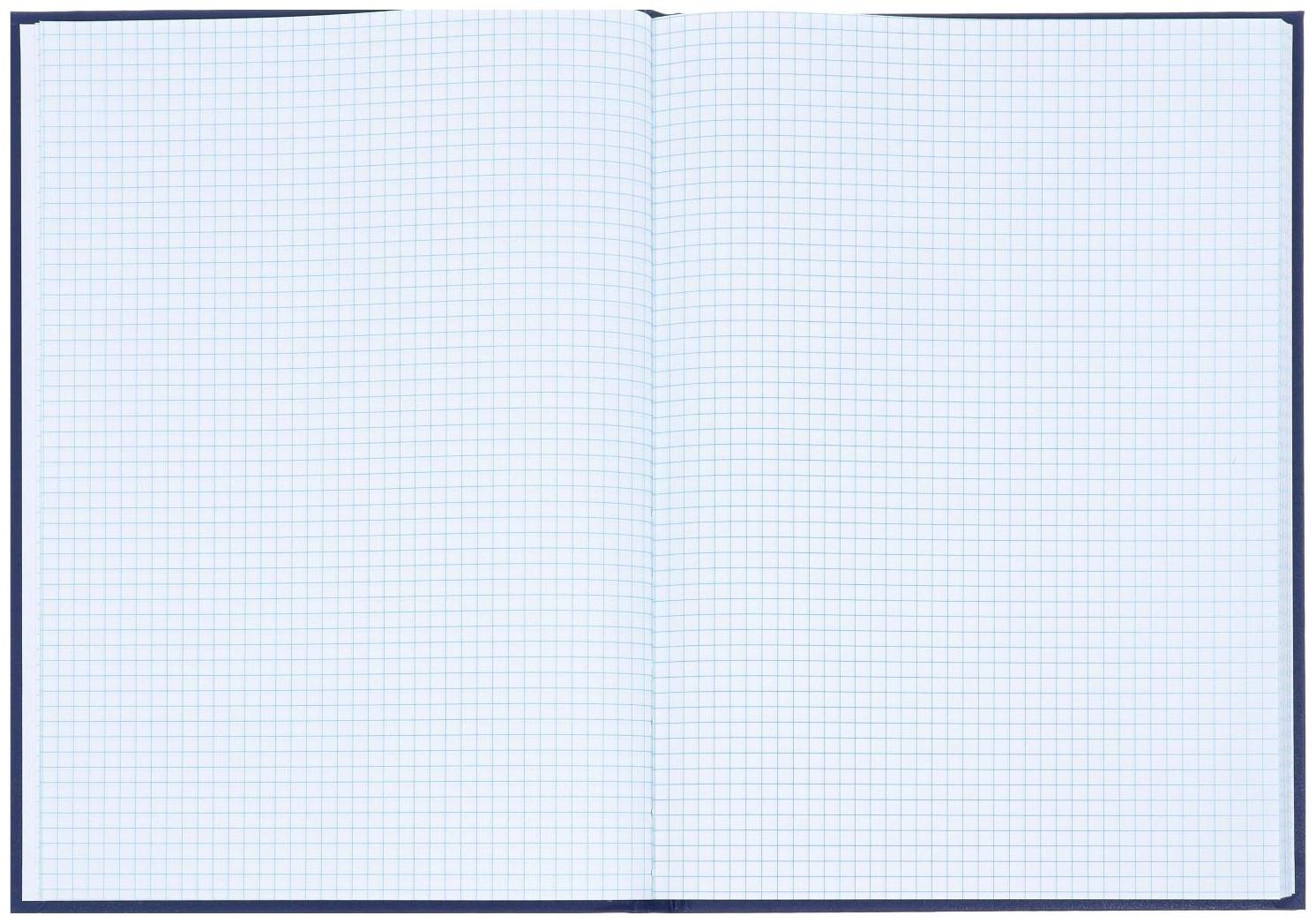 Книга учета, 96 листов, обложка бумвинил, блок ОФСЕТ, клетка, цвет синий