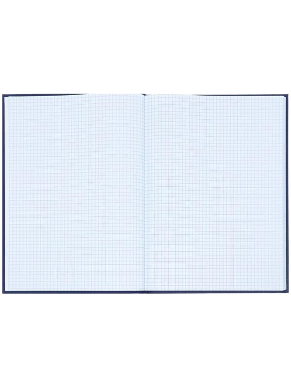 Книга учета, 96 листов, обложка бумвинил, блок ОФСЕТ, клетка, цвет синий