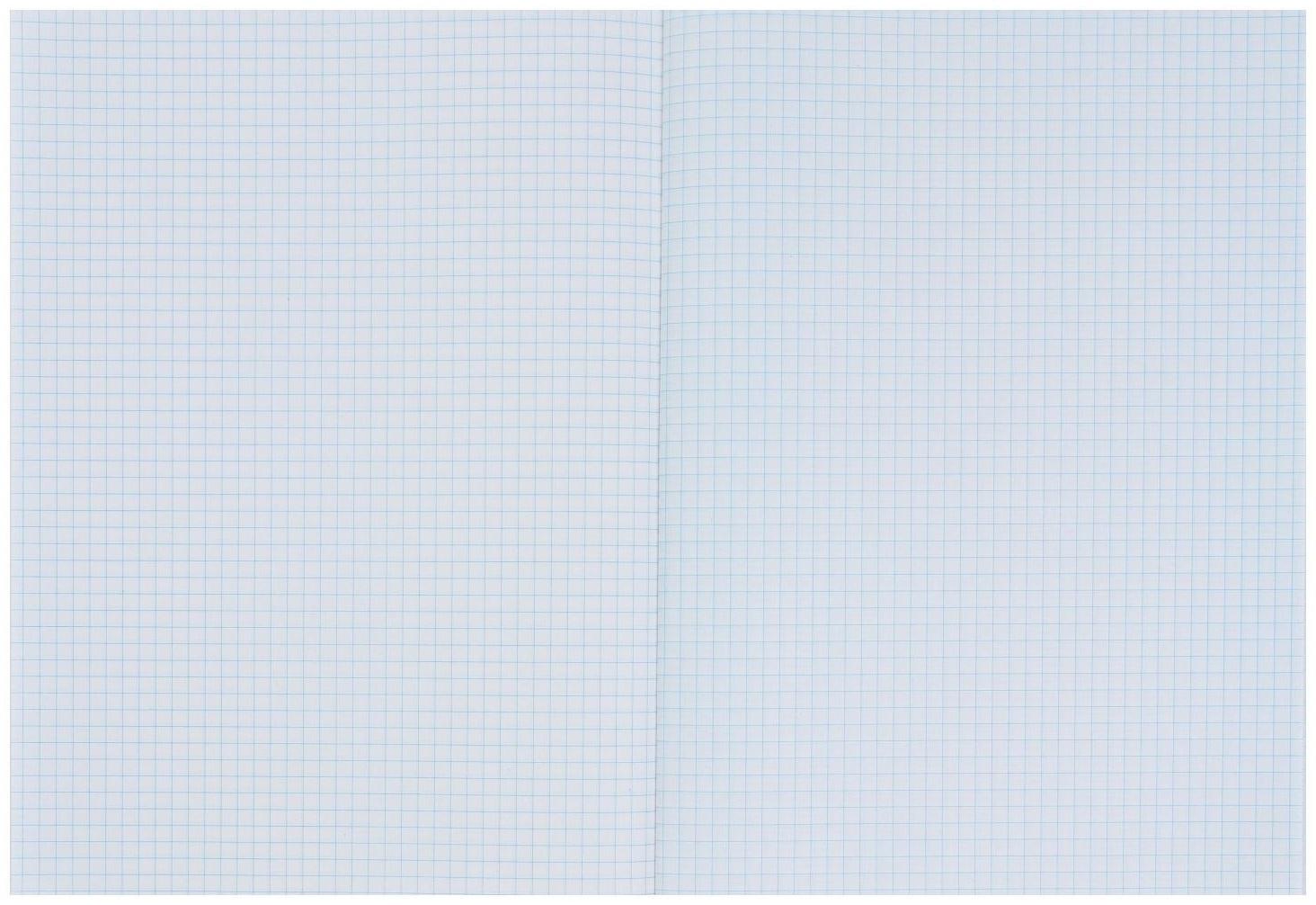 Тетрадь А4, 48 листов в клетку Calligrata 