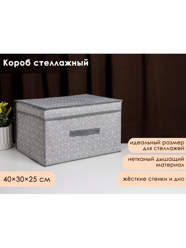 Короб стеллажный для хранения с крышкой Доляна «Фора», 40×30×25 см, цвет серый