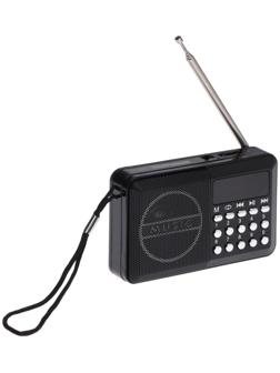 Радиоприемник Telefunken TF-1667, FM+ 87.5 МГц - 108 МГц, MP3, USB, microSD,800 мАч, чёрный