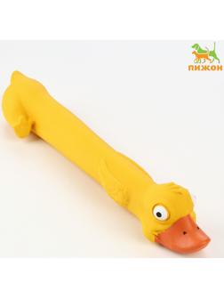 Игрушка пищащая  для собак из латекса 