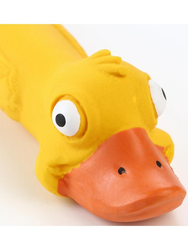 Игрушка пищащая  для собак из латекса 