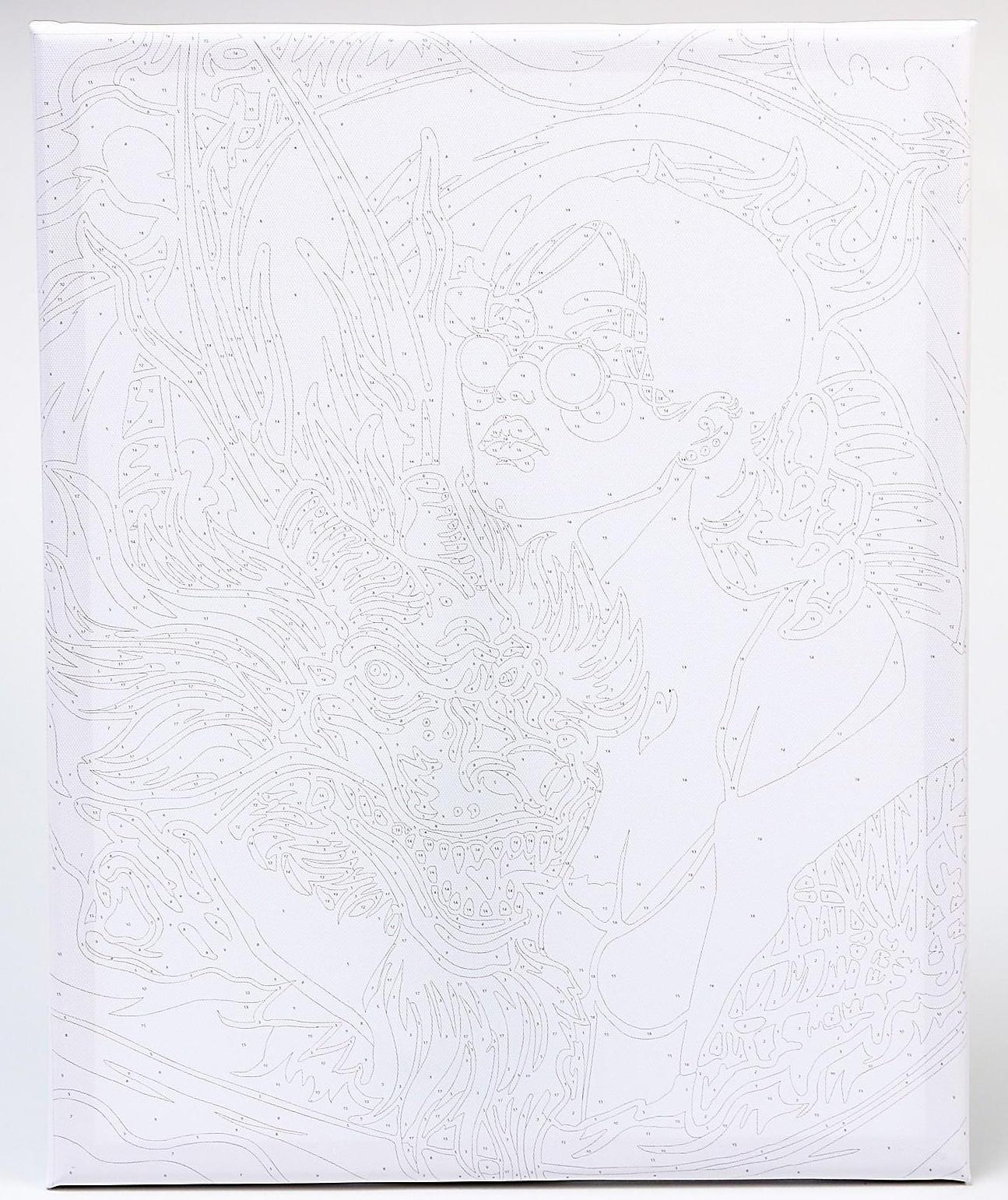 Картина по номерам на холсте с подрамником «Девушка с драконом» 40х50 см