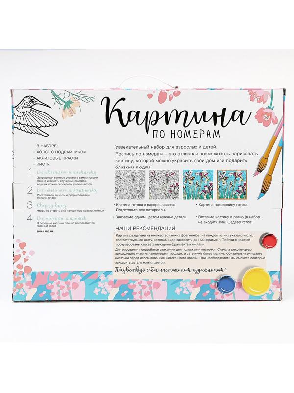 Картина по номерам на холсте с подрамником «Девушка с драконом» 40х50 см