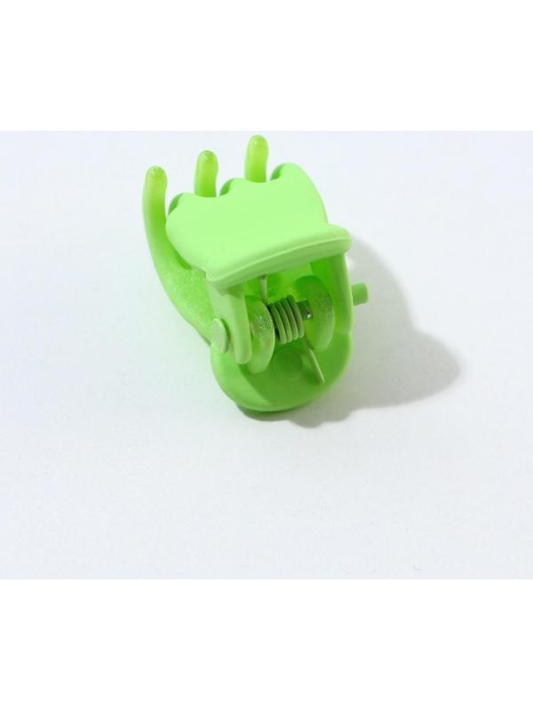 Набор мини крабиков для волос «Чудесной девочке», 10 шт.