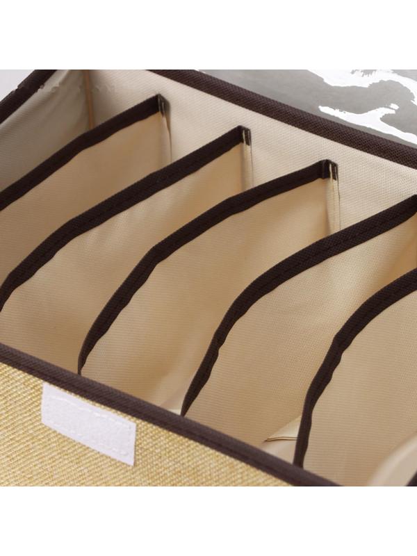 Органайзер для хранения белья с прозрачной крышкой Доляна «Тео», 6 отделений, 32×23×12 см, цвет бежево-коричневый