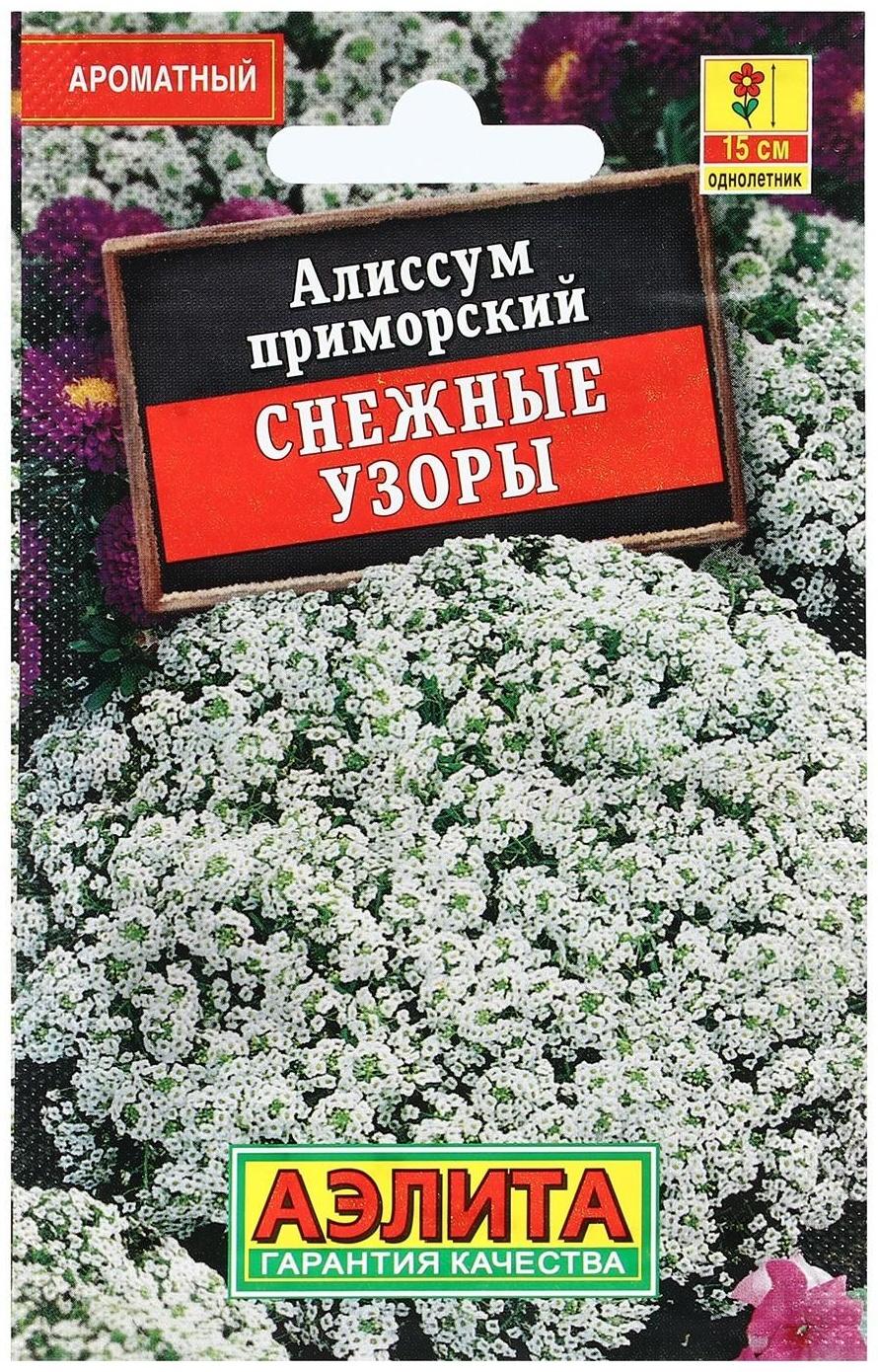 Семена Цветов Алиссум 