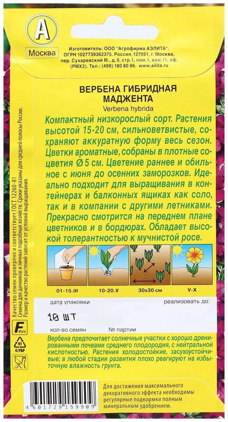 Семена Цветов Вербена 