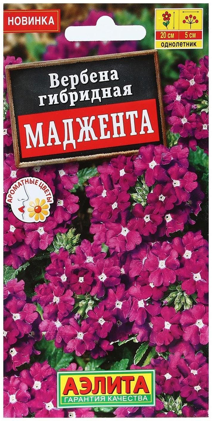 Семена Цветов Вербена 