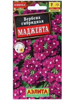 Семена Цветов Вербена 