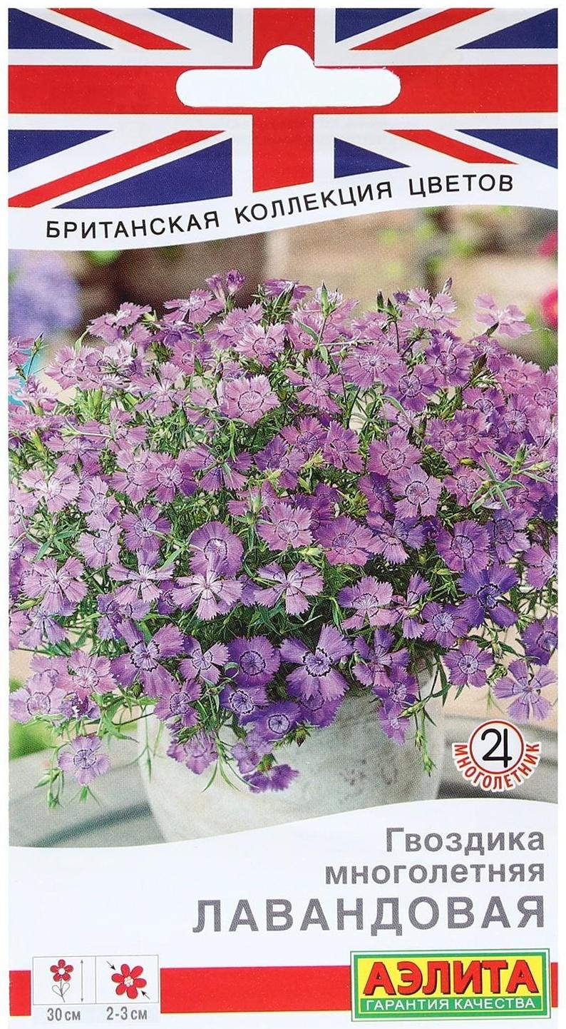 Семена Цветов Гвоздика многолетняя лавандовая, 0,05 г