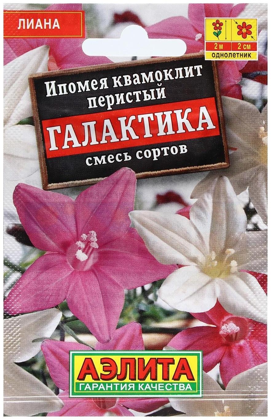 Семена Цветов Ипомея 