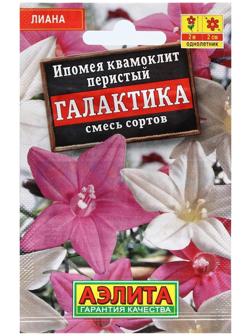 Семена Цветов Ипомея 