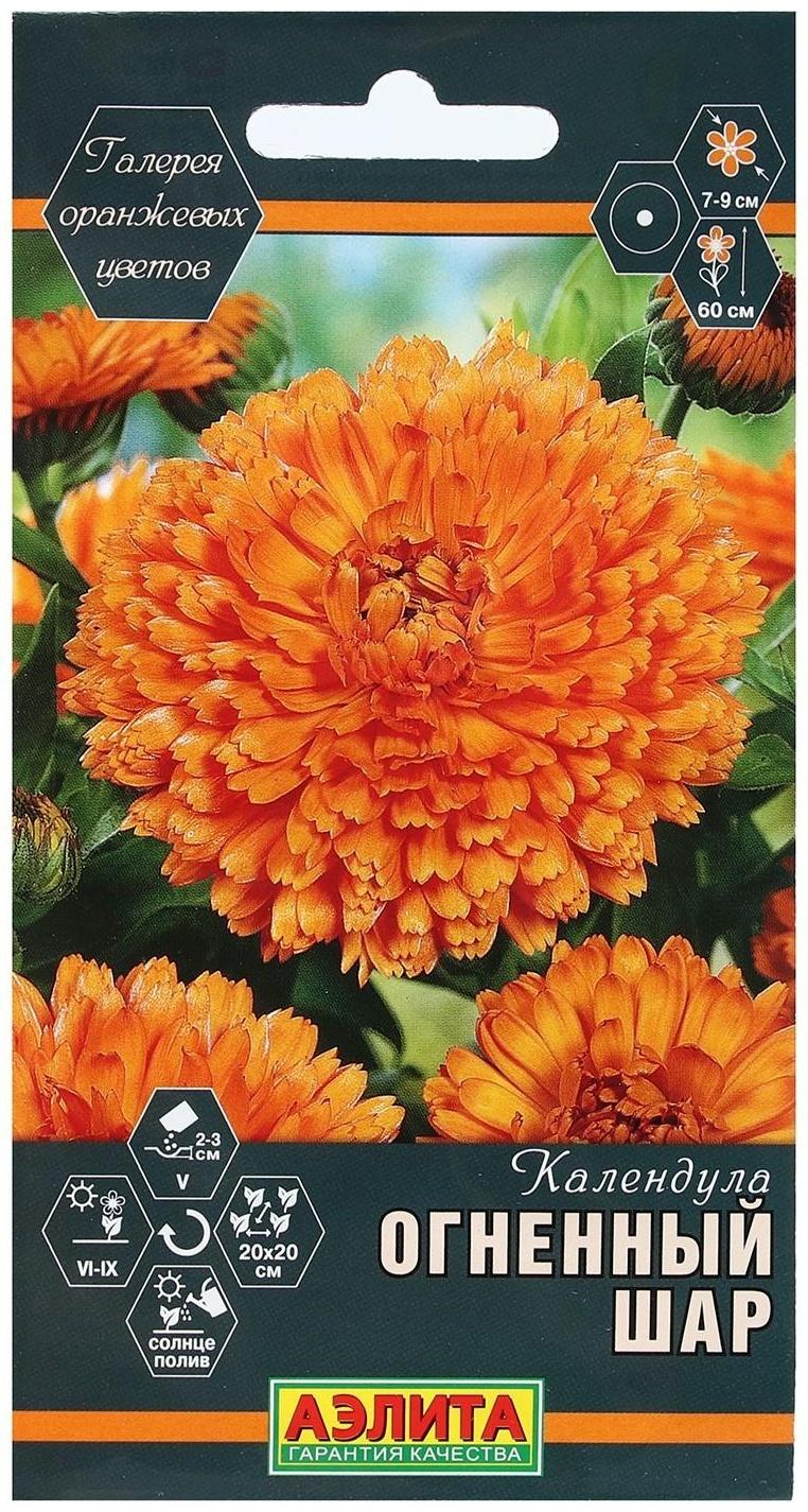 Семена Цветов Календула 