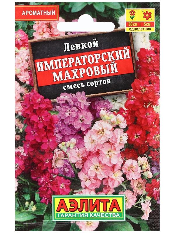 Семена Цветов Левкой 