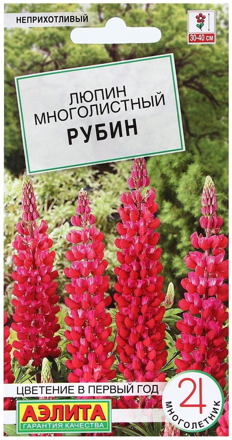 Семена Цветов Люпин 