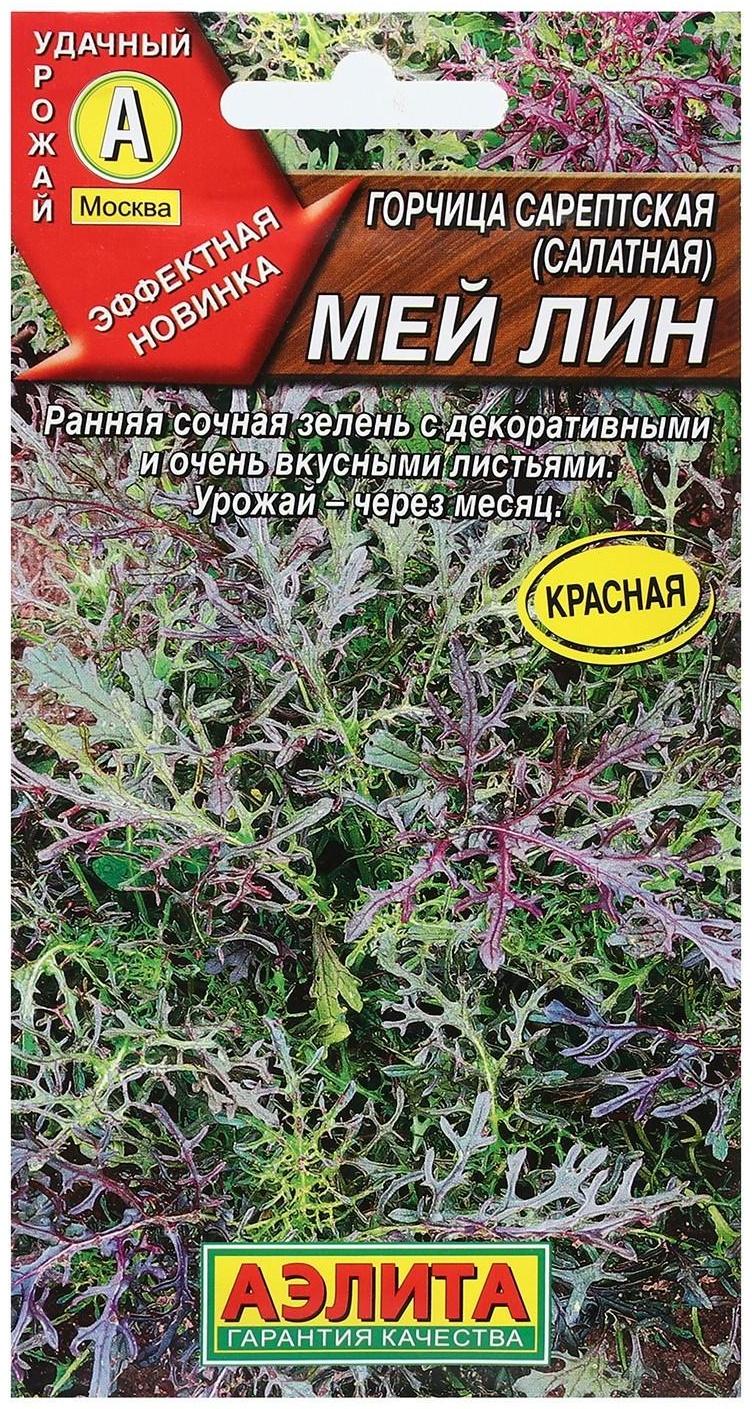 СеменаГорчица салатная 