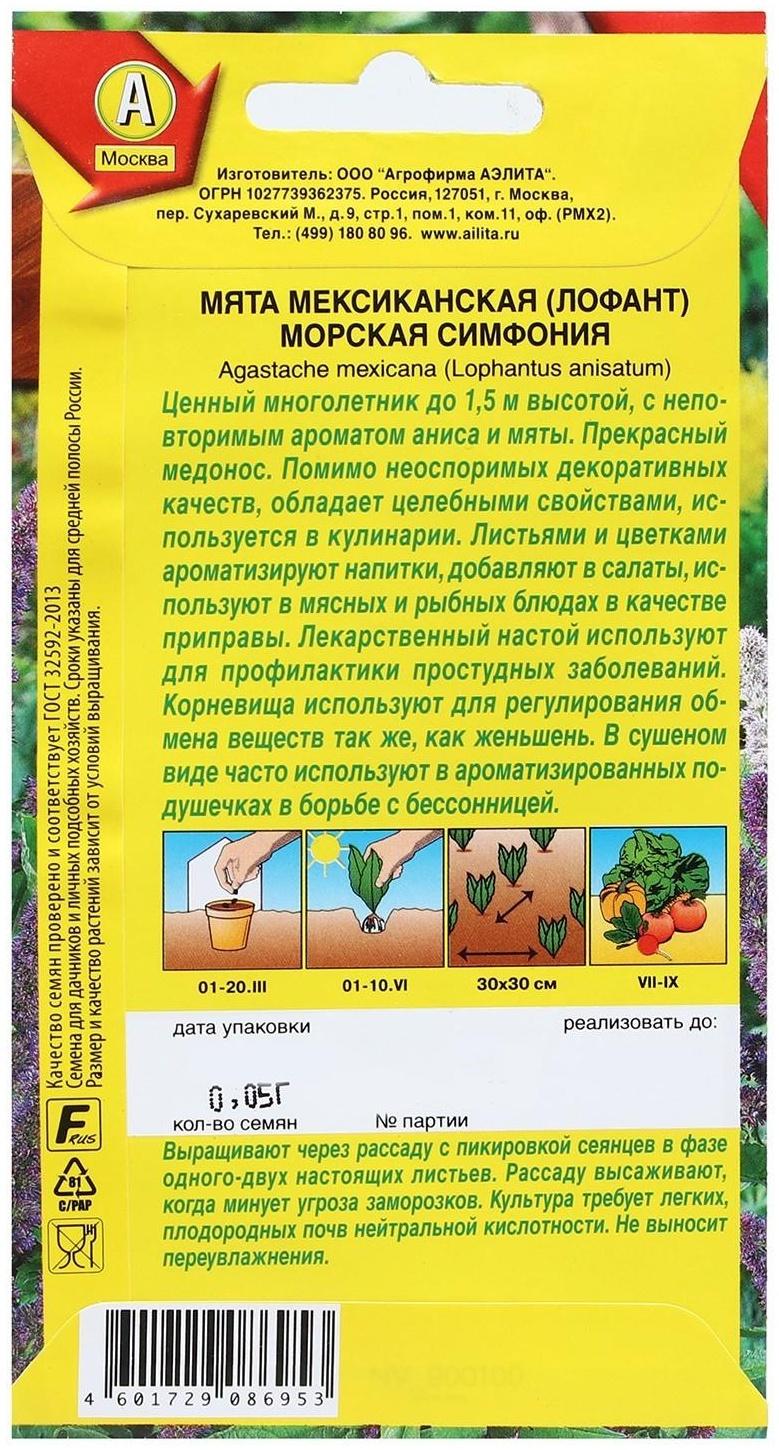 Семена Мята мексиканская 