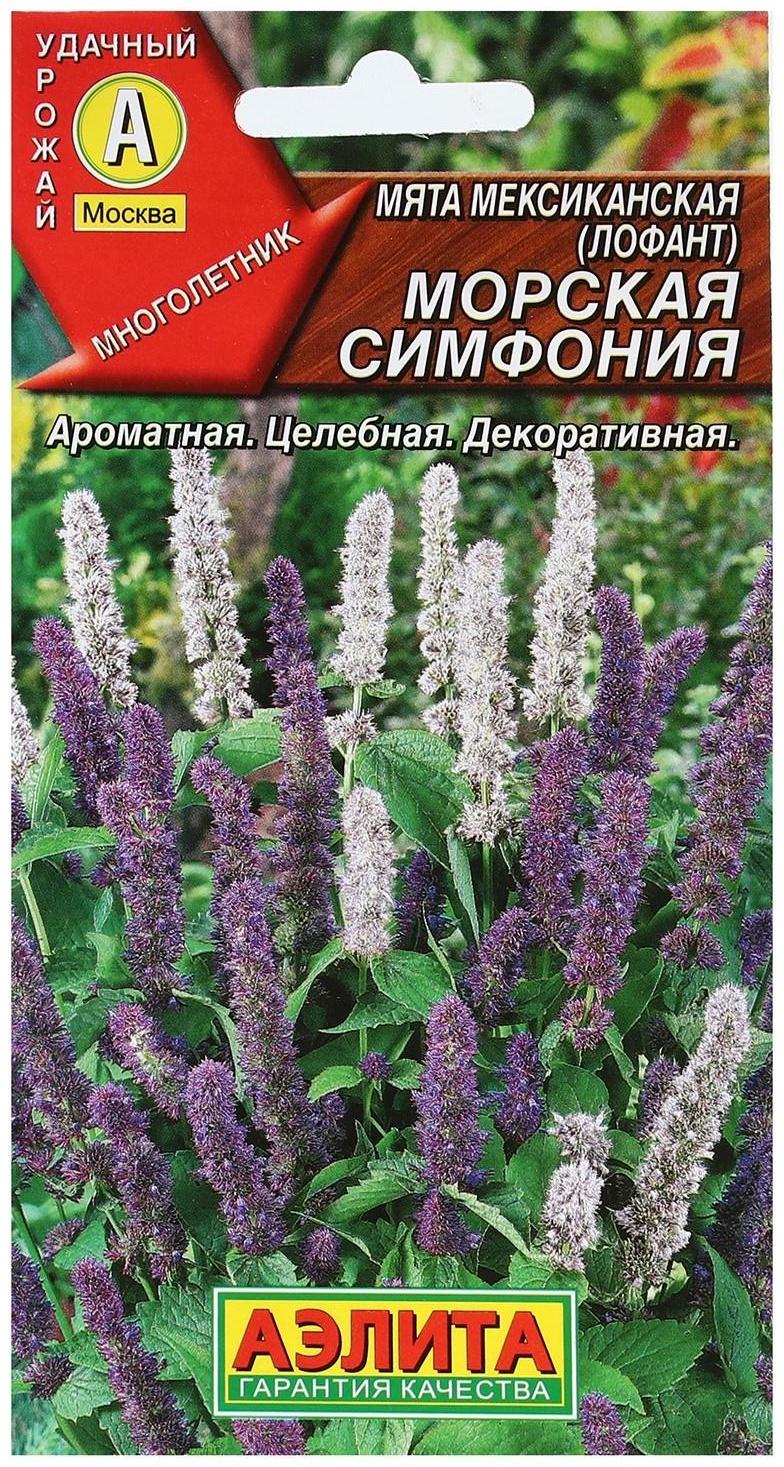 Семена Мята мексиканская 