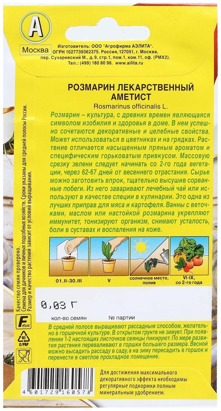 Семена Розмарин 