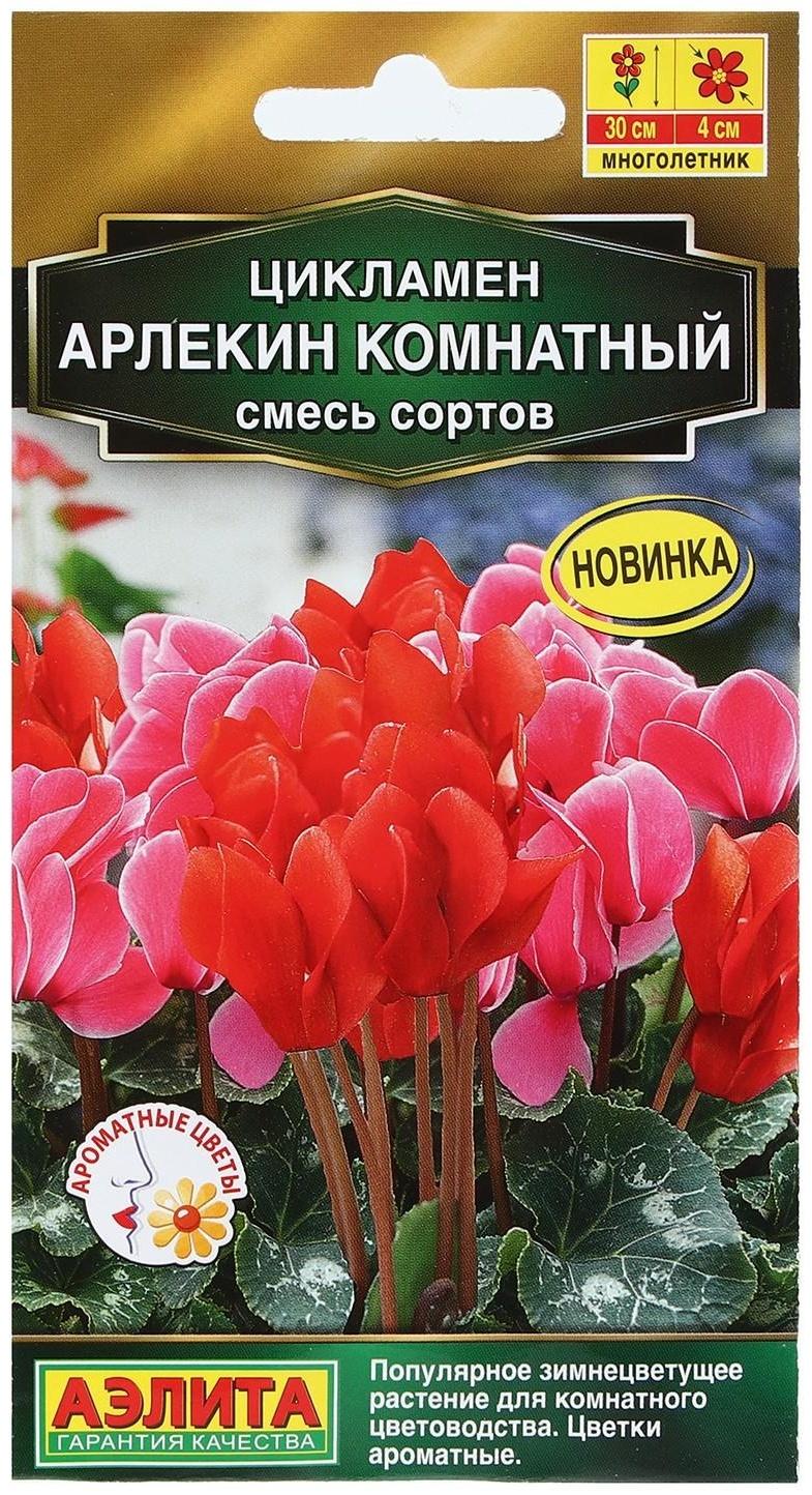 Семена Цветов Цикламен 