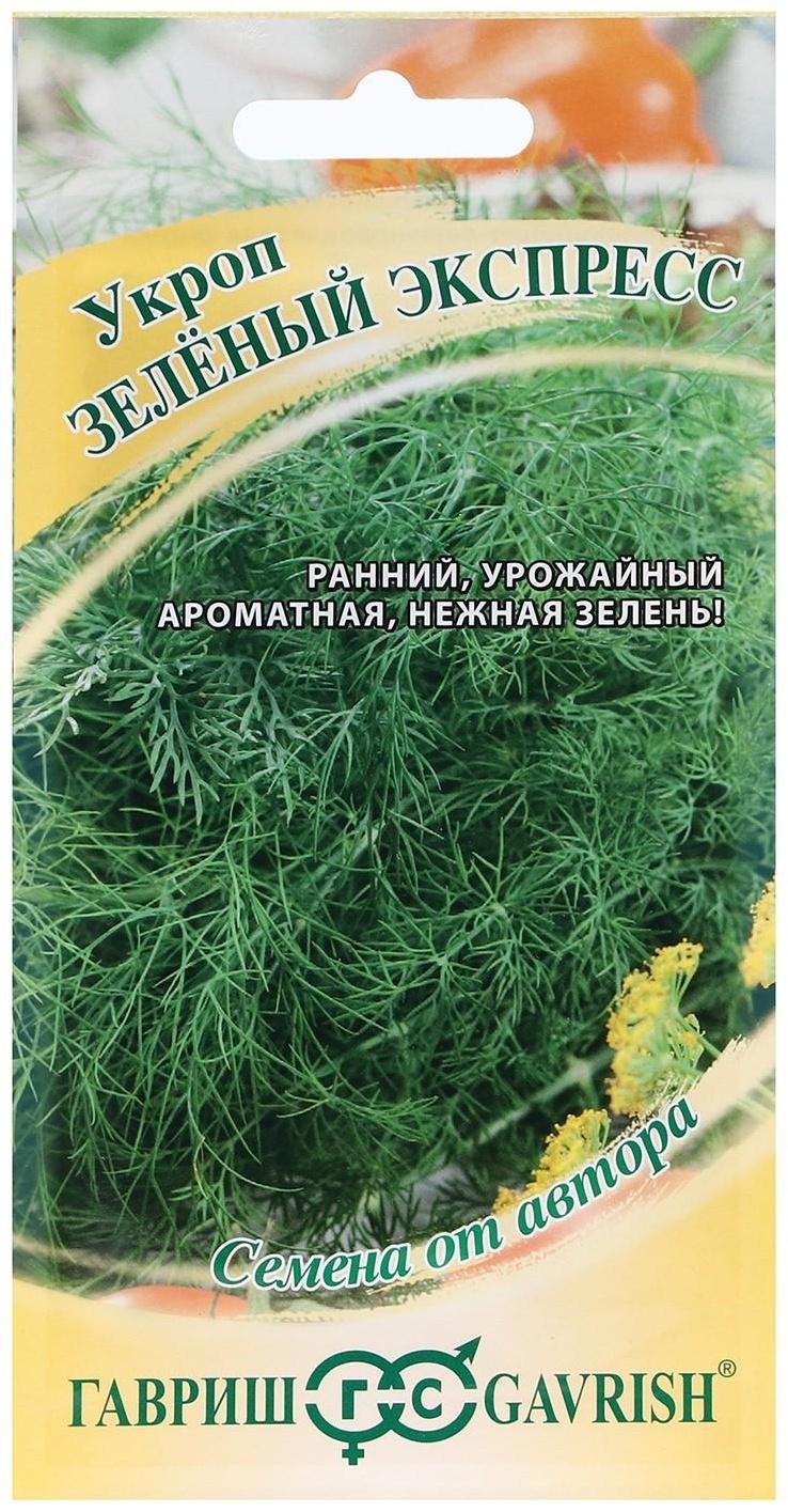 Семена Укроп 