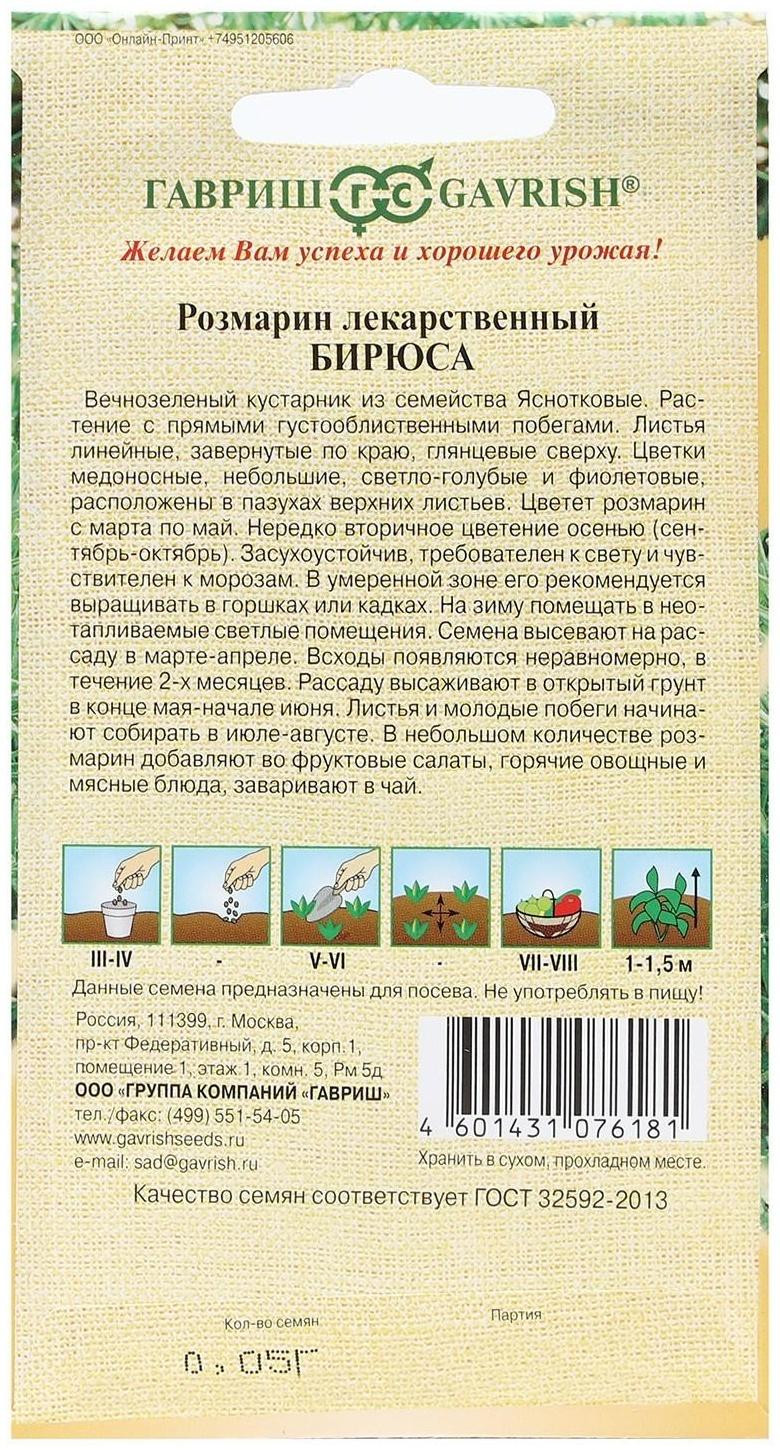 Семена Розмарин 