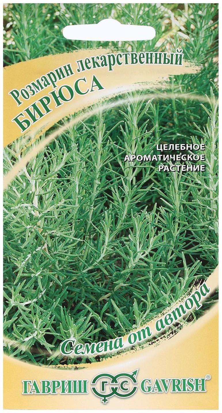 Семена Розмарин 