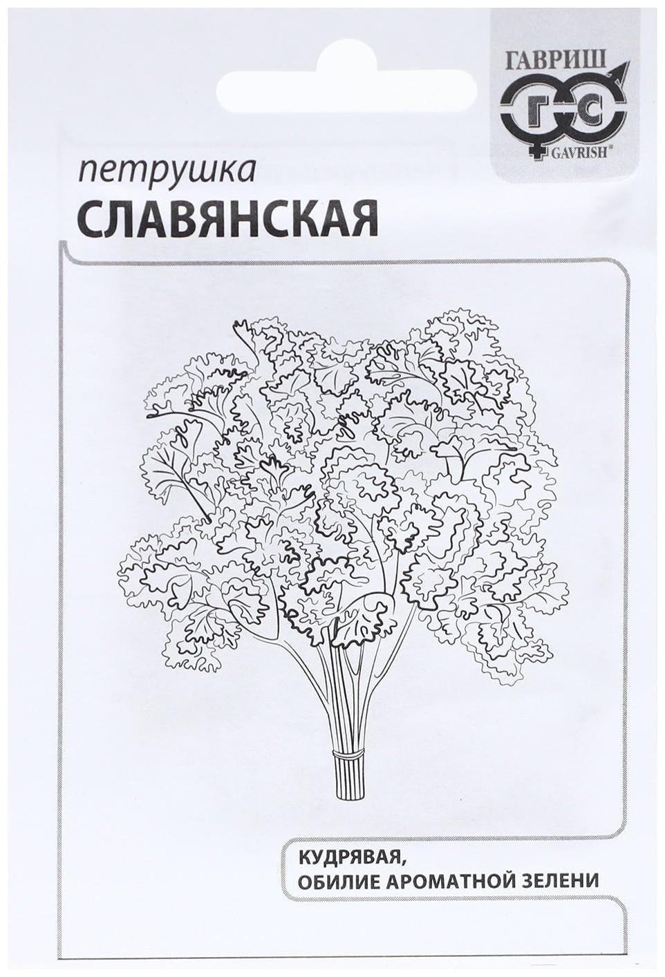 Семена Петрушка кудрявая 