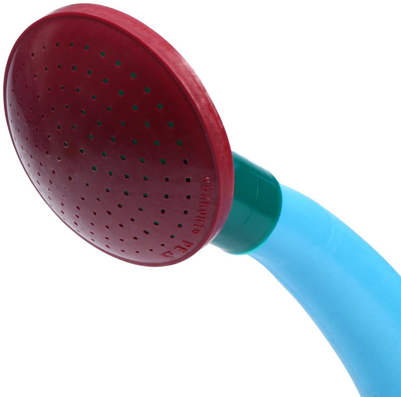 Рассеиватель к лейке, d = 21 мм, МИКС