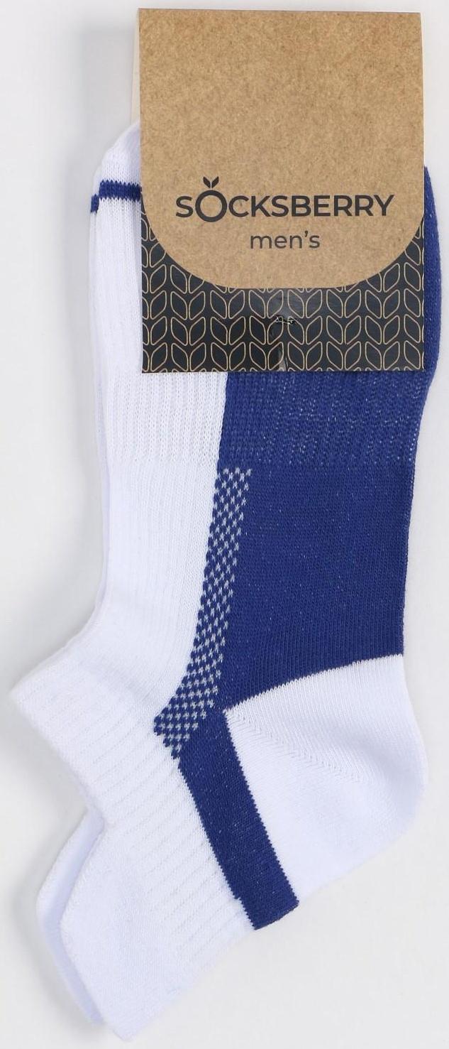 Носки мужские спортивные, цвет белый/синий, размер 29
