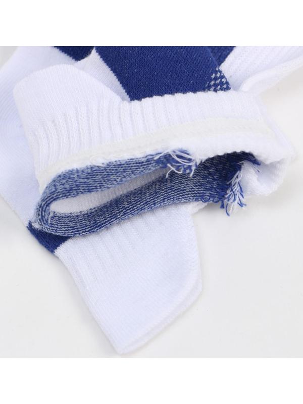 Носки мужские спортивные, цвет белый/синий, размер 29