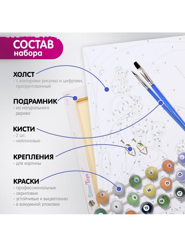 Картина по номерам 40 × 50 см «Этнос» 10 цветов