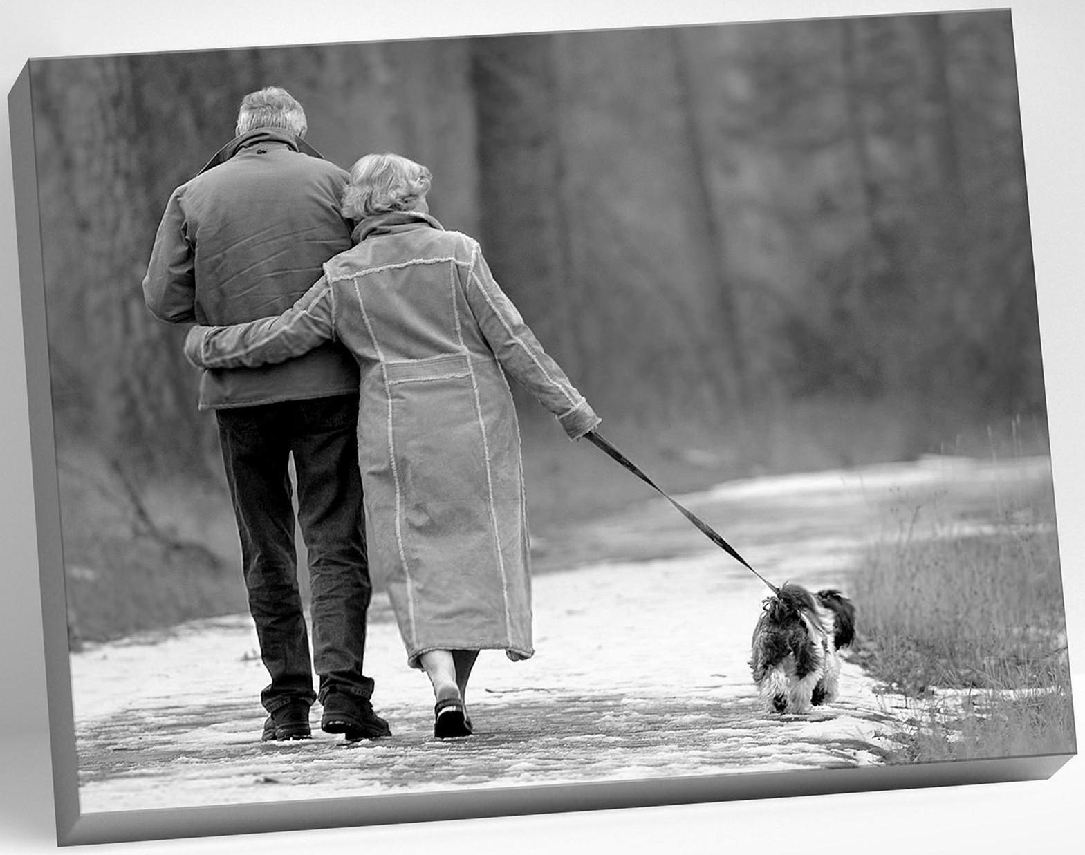 Картина по номерам 40 × 50 см «Любовь, проверенная годами» 8 цветов