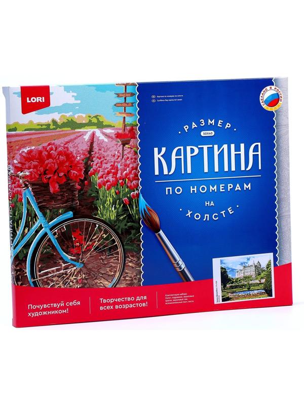 Картина по номерам холст на подрамнике 40 × 50 см «Замок Данробин»