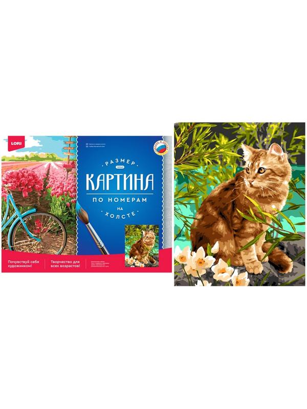 Картина по номерам холст на подрамнике «Кошечка на прогулке» 40 × 50 см