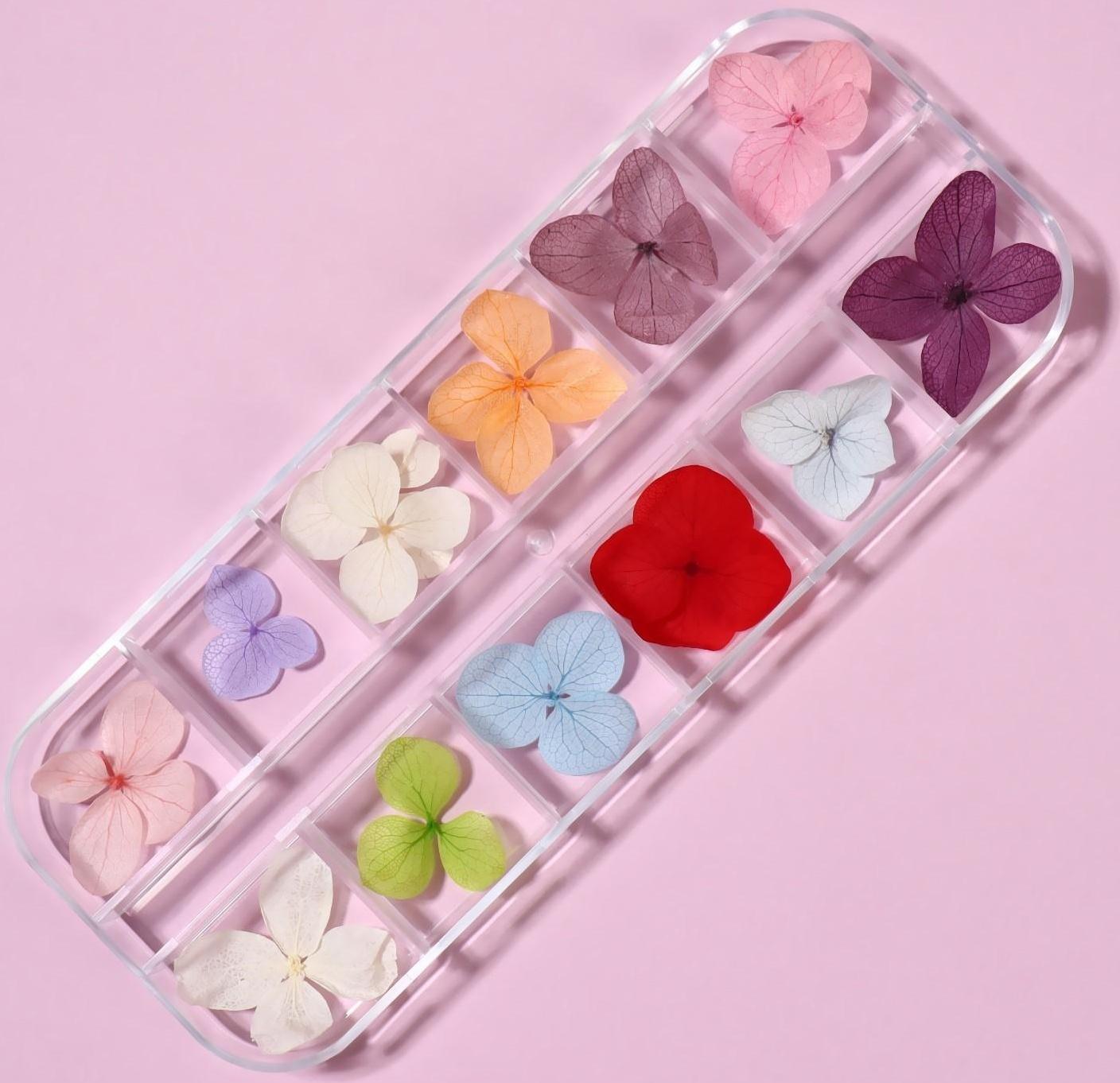 Сухоцветы для декора «Нежность», 12 видов, в футляре, цвет разноцветный