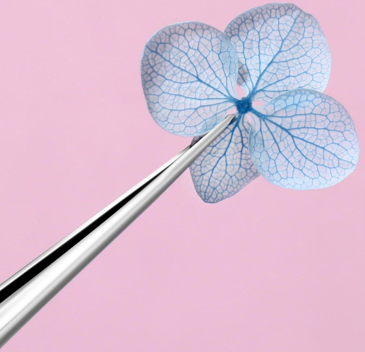 Сухоцветы для декора «Нежность», 12 видов, в футляре, цвет разноцветный