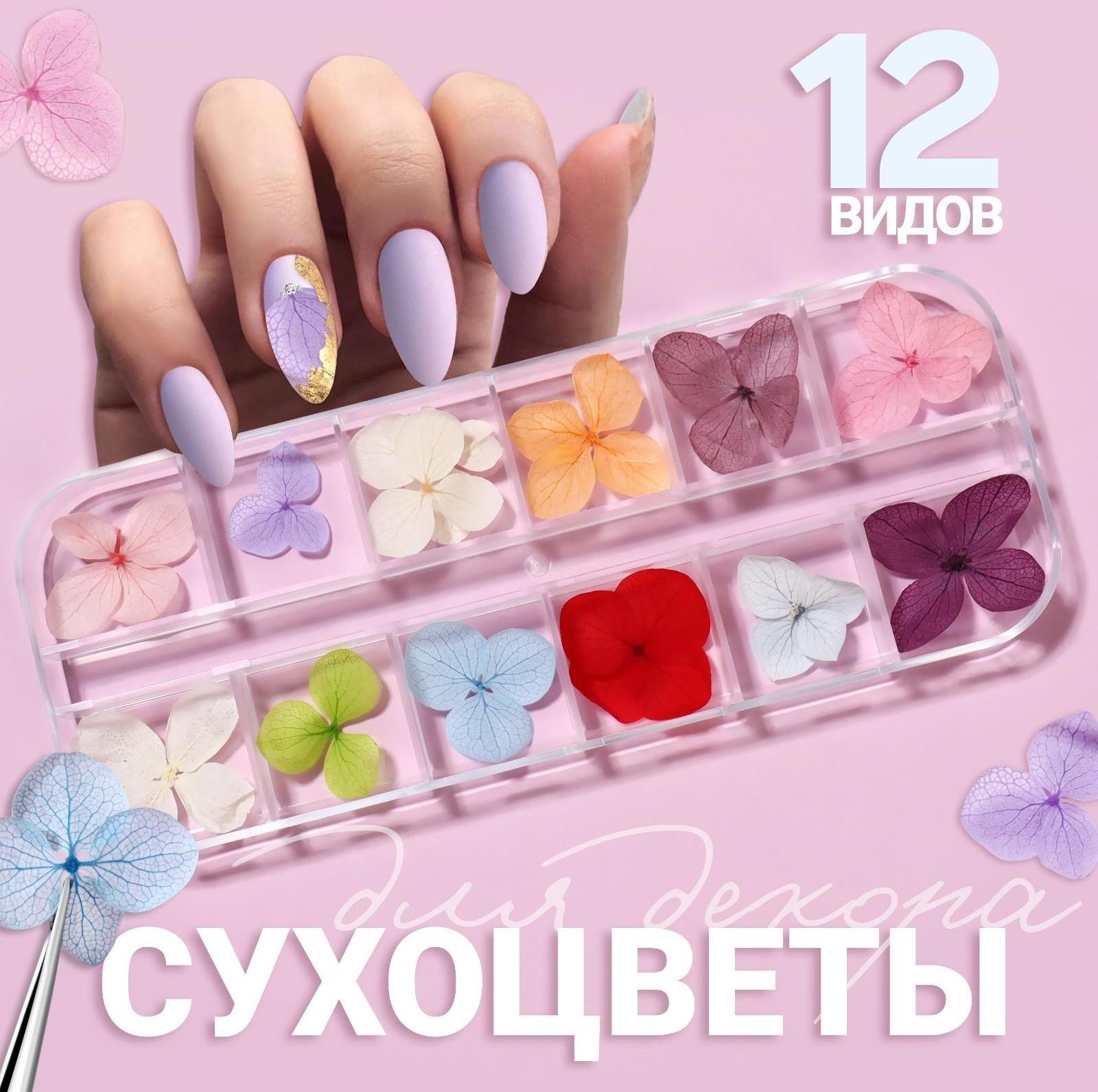 Сухоцветы для декора «Нежность», 12 видов, в футляре, цвет разноцветный