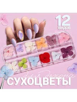 Сухоцветы для декора «Нежность», 12 видов, в футляре, цвет разноцветный